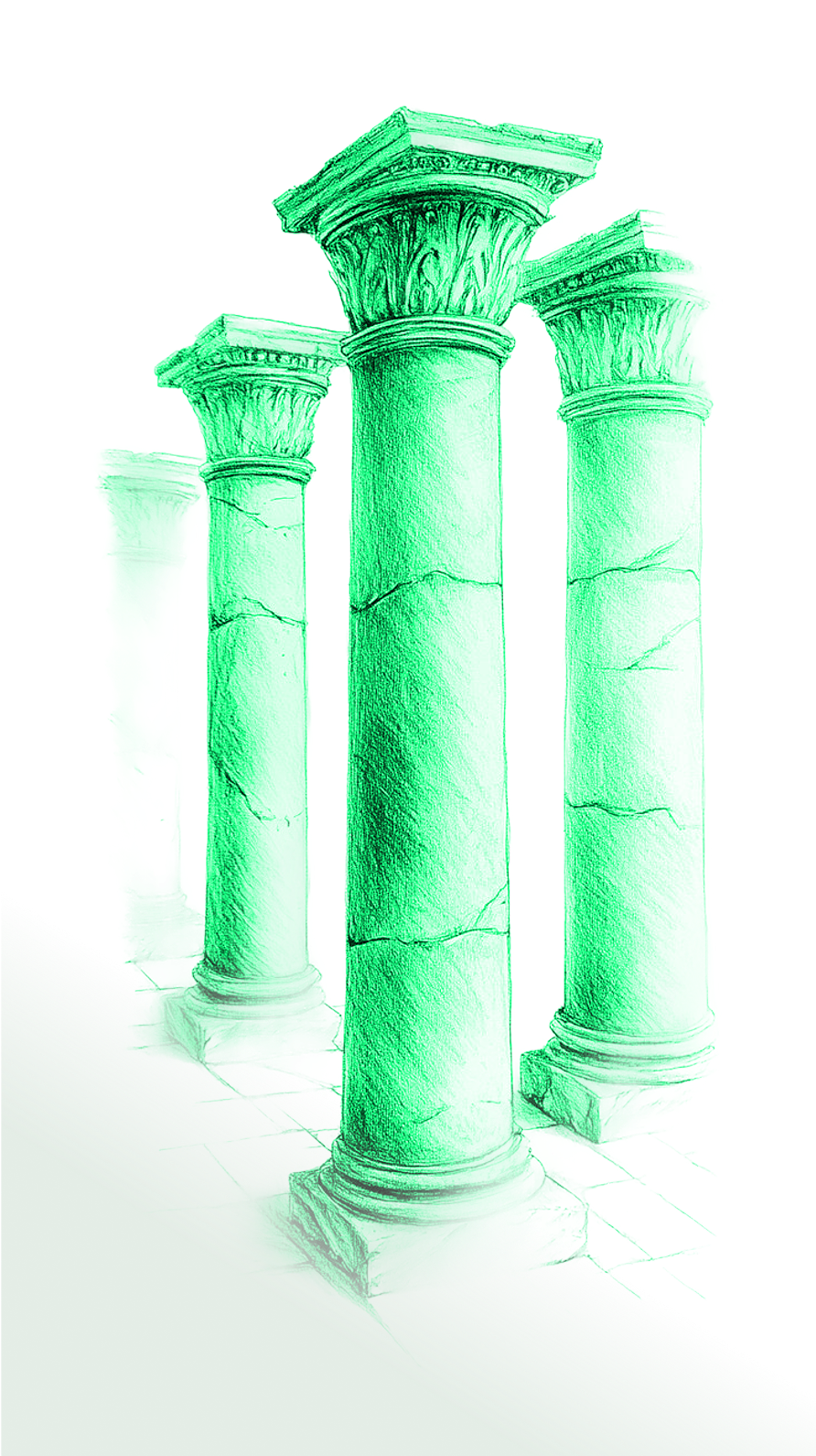 foundation